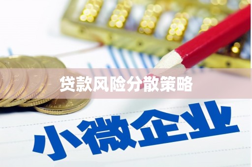 西吉贷款风险分散策略