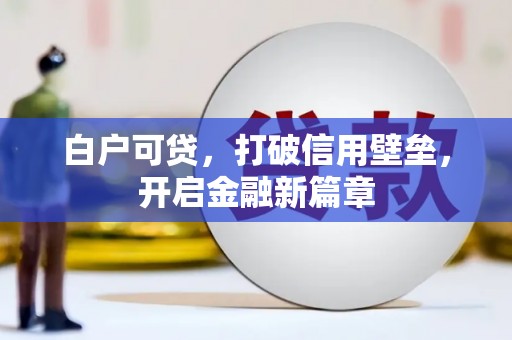 西吉白户可贷，打破信用壁垒，开启金融新篇章