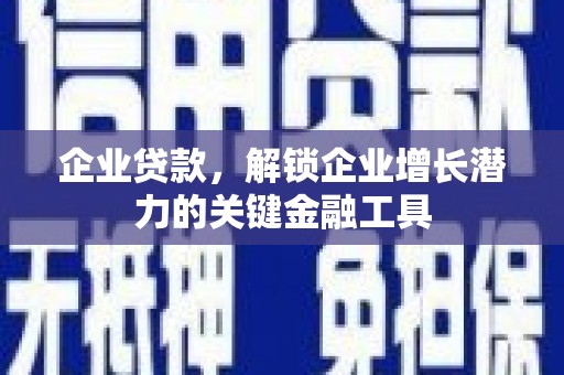 西吉企业贷款，解锁企业增长潜力的关键金融工具