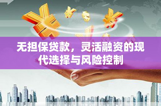 西吉无担保贷款，灵活融资的现代选择与风险控制