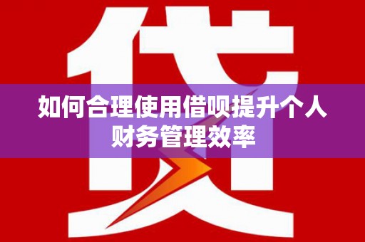 西吉如何合理使用借呗提升个人财务管理效率