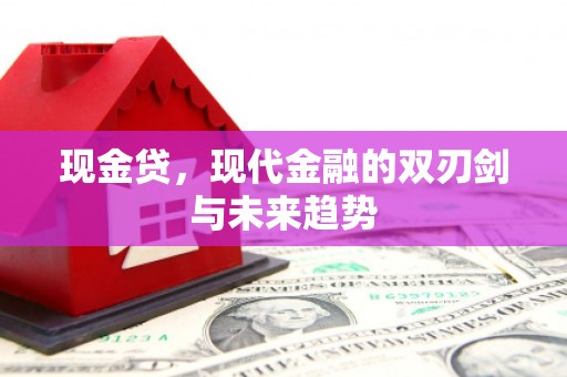 西吉现金贷，现代金融的双刃剑与未来趋势