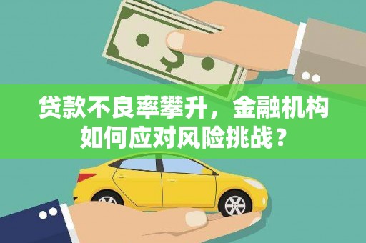 西吉贷款不良率攀升，金融机构如何应对风险挑战？