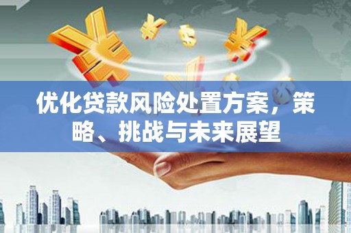 西吉优化贷款风险处置方案，策略、挑战与未来展望