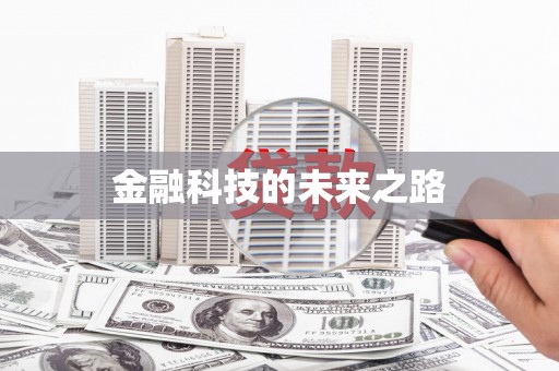 西吉金融科技的未来之路