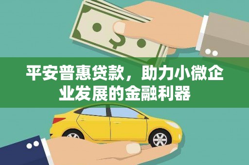 西吉平安普惠贷款，助力小微企业发展的金融利器