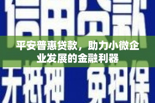 西吉平安普惠贷款，助力小微企业发展的金融利器