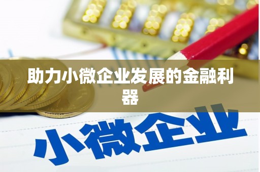 西吉助力小微企业发展的金融利器