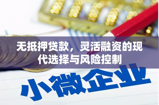 西吉无抵押贷款，灵活融资的现代选择与风险控制