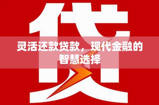西吉灵活还款贷款，现代金融的智慧选择