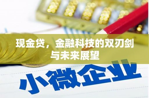 西吉现金贷，金融科技的双刃剑与未来展望