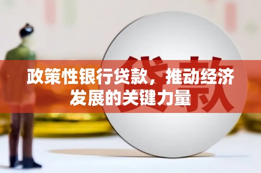 西吉政策性银行贷款，推动经济发展的关键力量