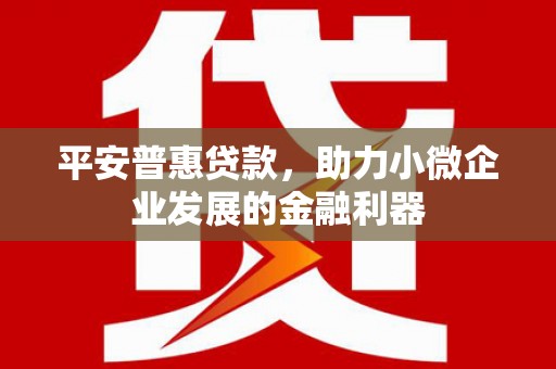 西吉平安普惠贷款，助力小微企业发展的金融利器