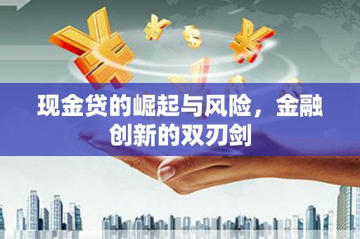 西吉现金贷的崛起与风险，金融创新的双刃剑