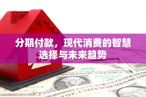 西吉分期付款，现代消费的智慧选择与未来趋势