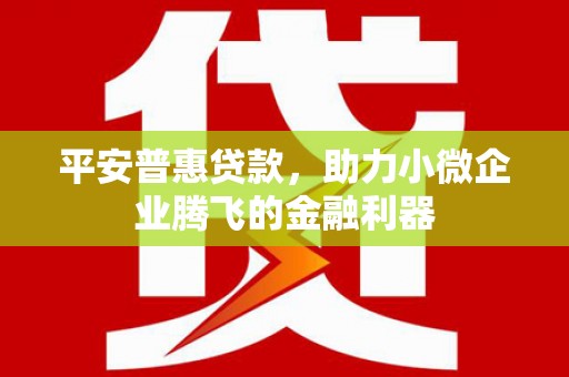 西吉平安普惠贷款，助力小微企业腾飞的金融利器