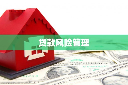 西吉贷款风险管理