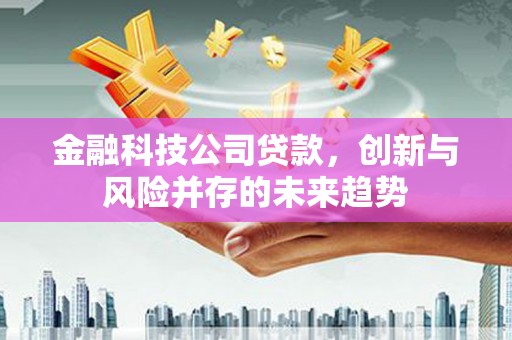 西吉金融科技公司贷款，创新与风险并存的未来趋势