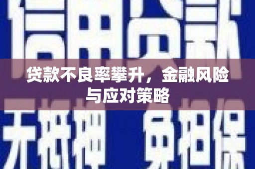 西吉贷款不良率攀升，金融风险与应对策略