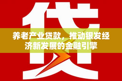 西吉养老产业贷款，推动银发经济新发展的金融引擎