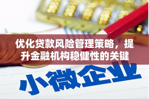 西吉优化贷款风险管理策略，提升金融机构稳健性的关键