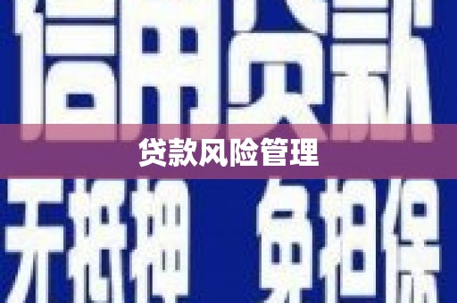 西吉贷款风险管理