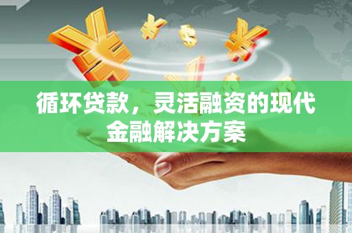 西吉循环贷款，灵活融资的现代金融解决方案