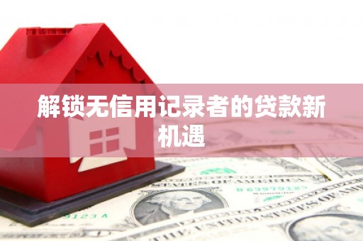 西吉解锁无信用记录者的贷款新机遇