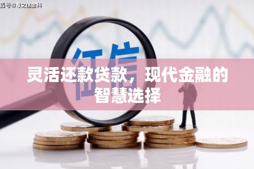 西吉灵活还款贷款，现代金融的智慧选择