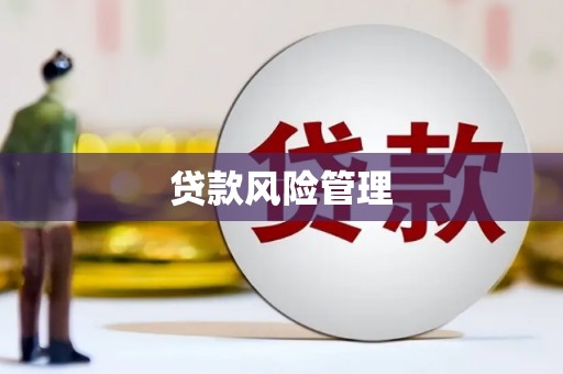 西吉贷款风险管理