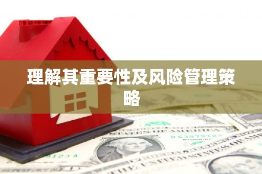 西吉理解其重要性及风险管理策略