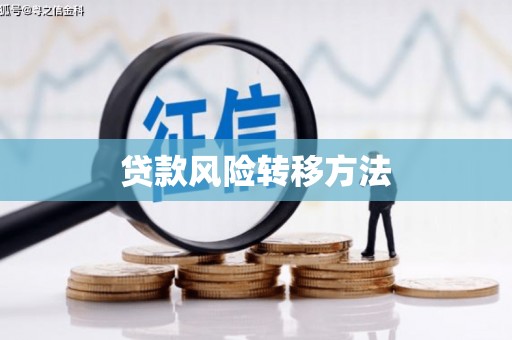 西吉贷款风险转移方法