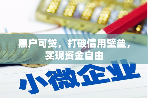 西吉黑户可贷，打破信用壁垒，实现资金自由