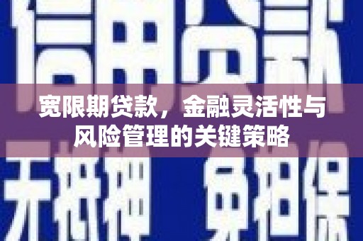 西吉宽限期贷款，金融灵活性与风险管理的关键策略