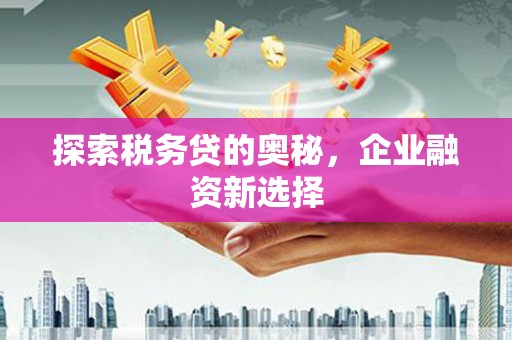 西吉探索税务贷的奥秘，企业融资新选择