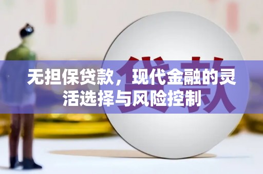 西吉无担保贷款，现代金融的灵活选择与风险控制