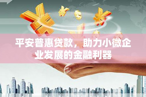 西吉平安普惠贷款，助力小微企业发展的金融利器