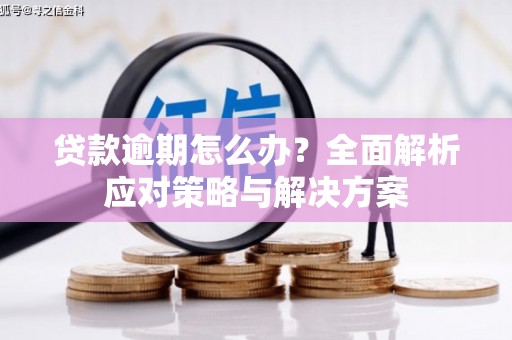 西吉贷款逾期怎么办？全面解析应对策略与解决方案