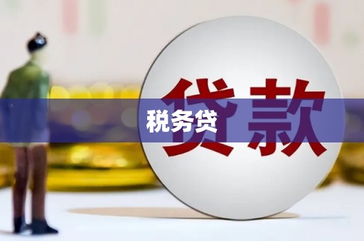 西吉税务贷