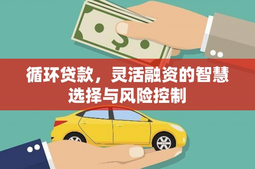 西吉循环贷款，灵活融资的智慧选择与风险控制