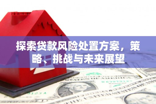 西吉探索贷款风险处置方案，策略、挑战与未来展望