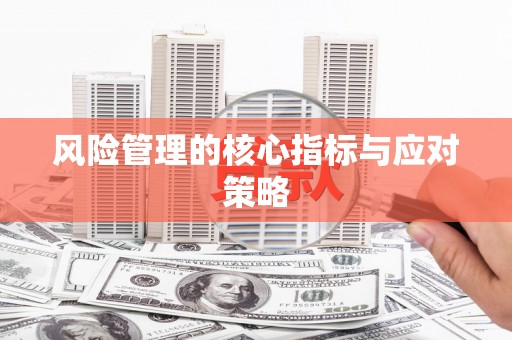 西吉风险管理的核心指标与应对策略