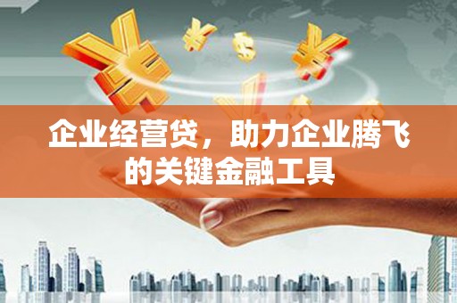 西吉企业经营贷，助力企业腾飞的关键金融工具