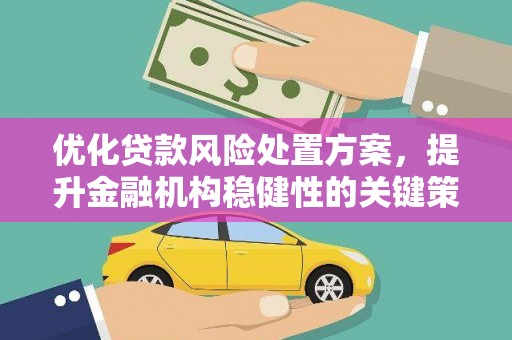 西吉优化贷款风险处置方案，提升金融机构稳健性的关键策略