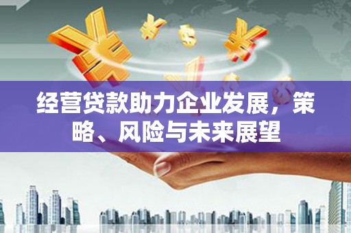 西吉经营贷款助力企业发展，策略、风险与未来展望