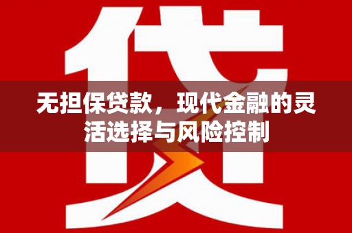 西吉无担保贷款，现代金融的灵活选择与风险控制