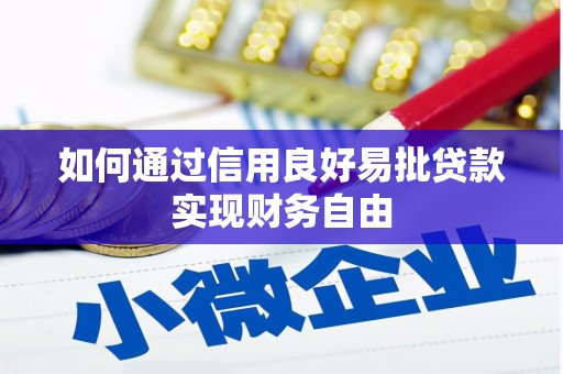 西吉如何通过信用良好易批贷款实现财务自由
