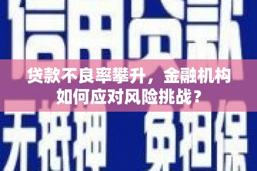 西吉贷款不良率攀升，金融机构如何应对风险挑战？