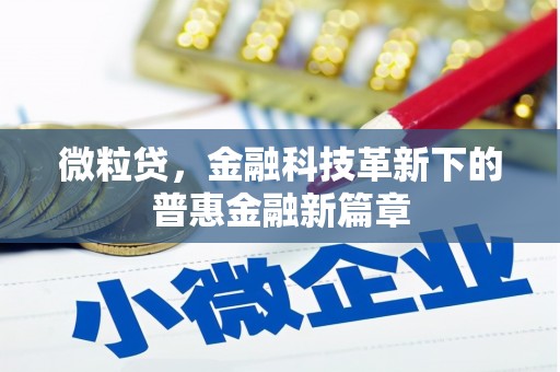 西吉微粒贷，金融科技革新下的普惠金融新篇章