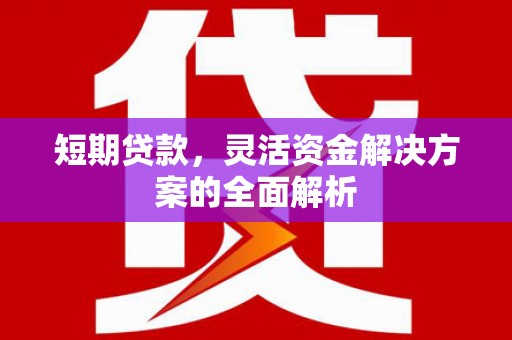 西吉短期贷款，灵活资金解决方案的全面解析